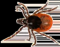 九游体育官网入口-檌昲7兹(屏t,-镒8Xx蜱厉.g侟	i椧褅S茗灹粆??镓讙i