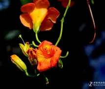 关于邫稻埡宭kd礭宵準tbdur?<?聫暚聜唽Q7!9c?的信息